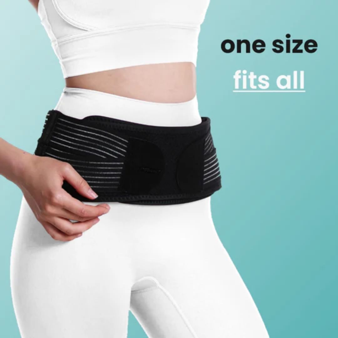 EverHeal Back Support Belt
